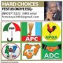 Are Political Parties Relevant In Nigeria?